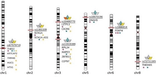 Human genetic mapping can provide insight about COVID-19 pathogenesis and drug development