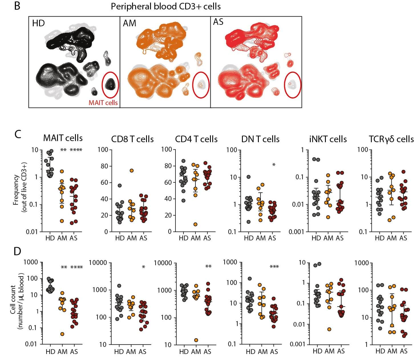 MAIT cell activation and dynamics studied in relation to COVID-19 disease severity