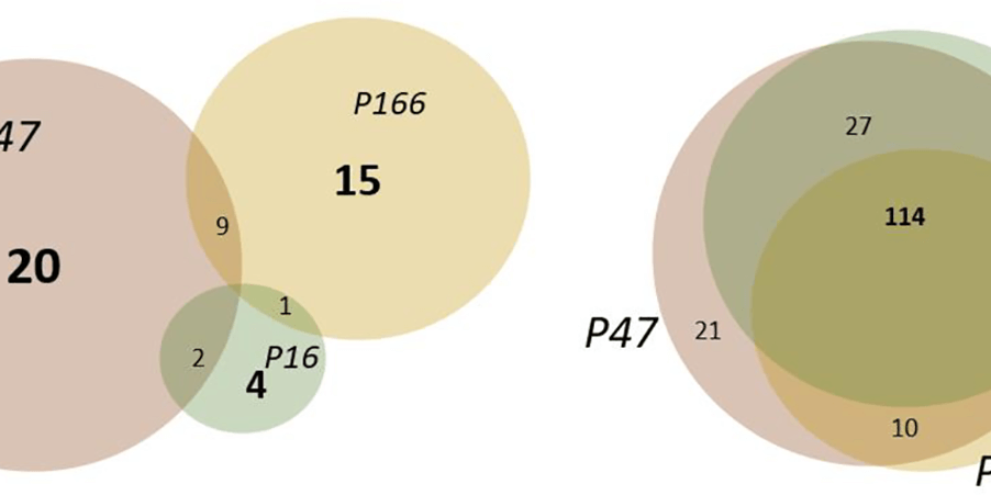 Study provides important insights for future predictions of SARS CoV-2 infection