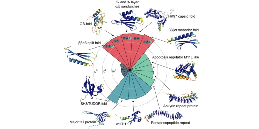 Viral protein structures added to AlphaFold Database for pandemic preparedness