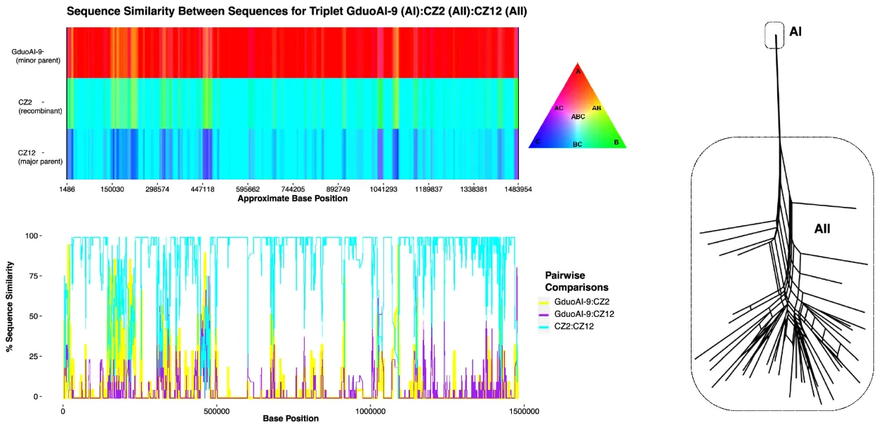 Host range expansion in Giardia duodenalis linked to Muller's Ratchet