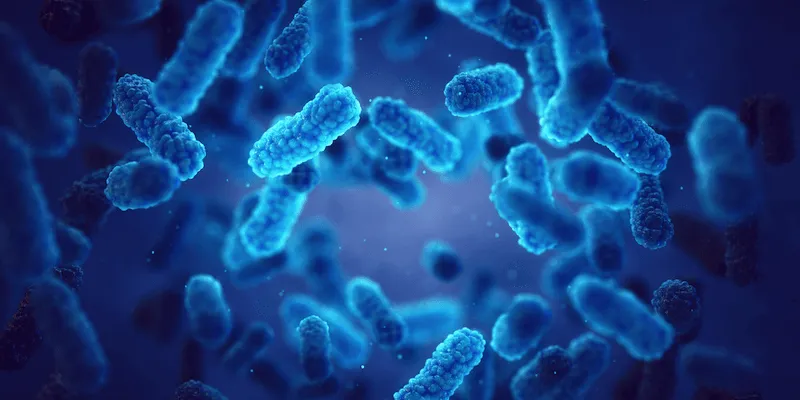 New capabilities from the Pandemic Laboratory Preparedness (PLP) program