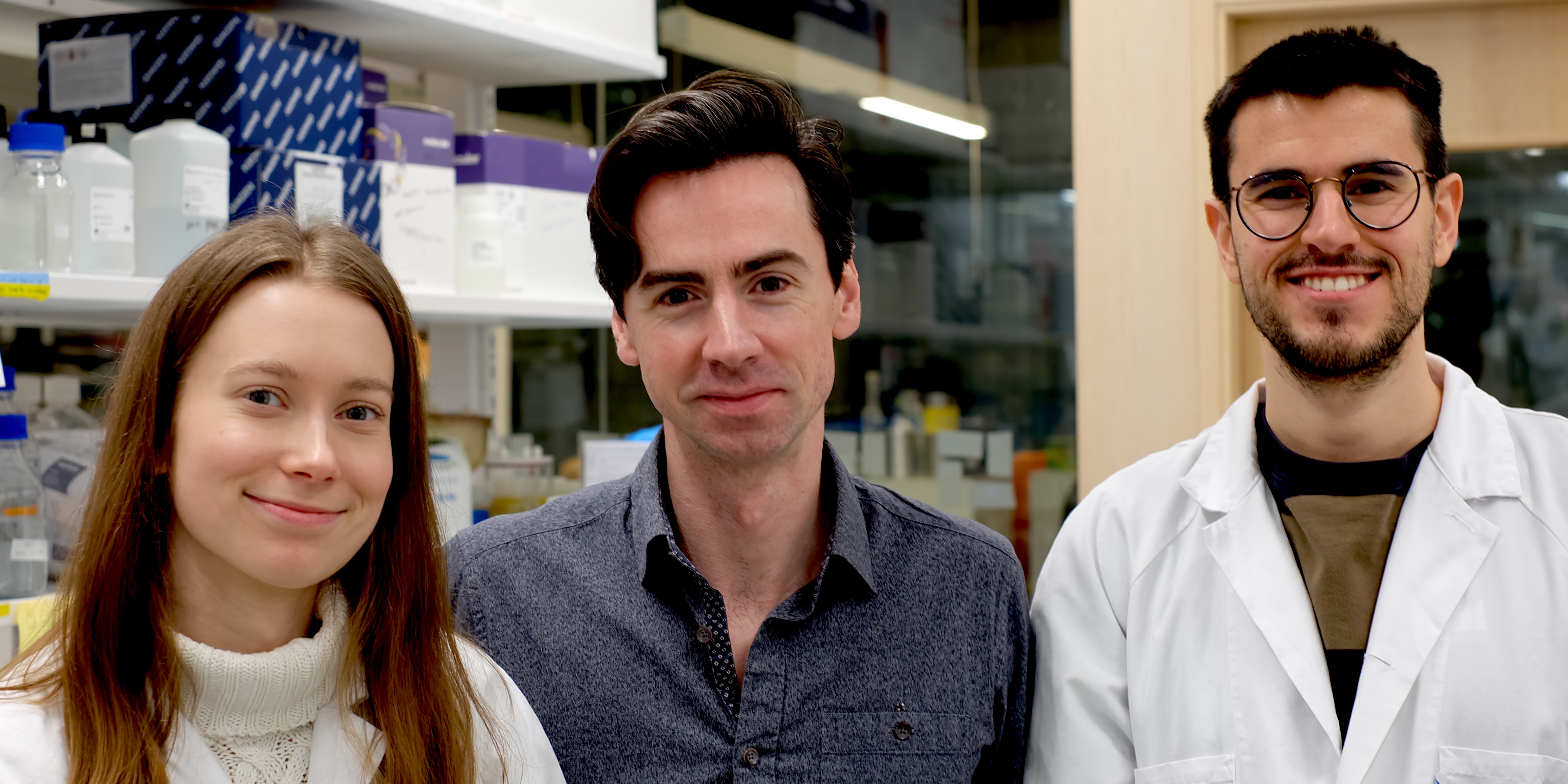 Maintaining and expanding Sweden’s capacity to assess virus neutralisation: “SwedNEXT”