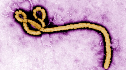 Ebola outbreak in Africa